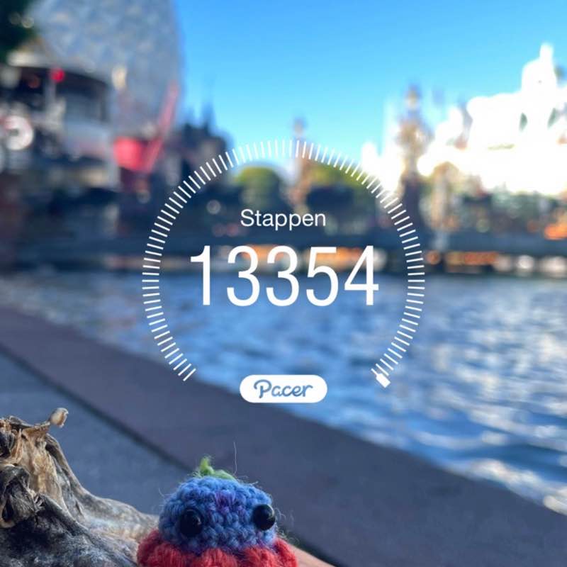 Amusement park walkers maxine post image