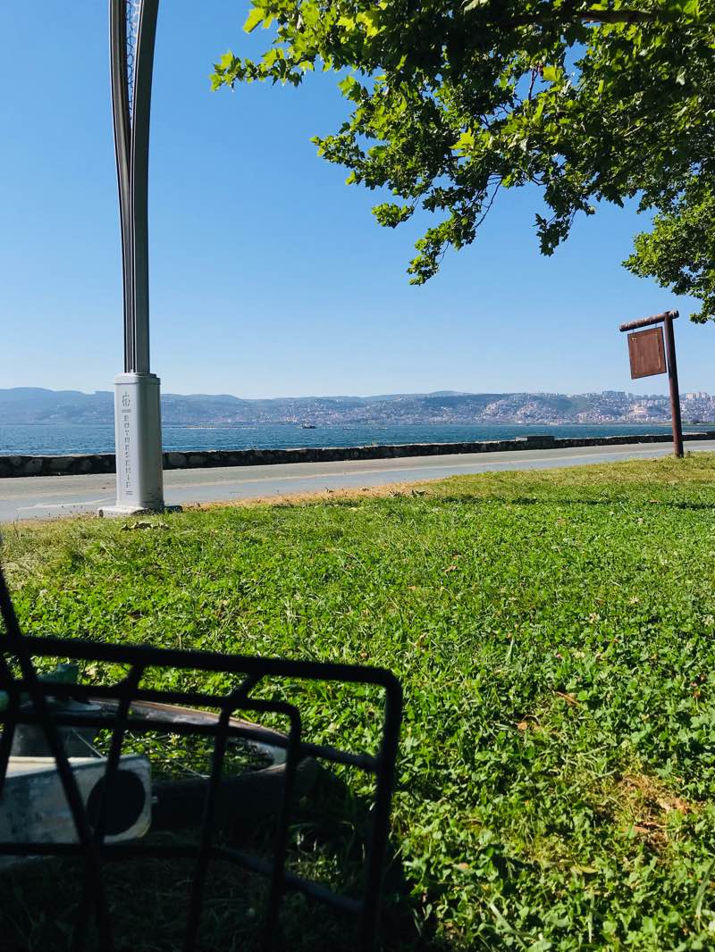 walking near me in Doğu Kışla Gençlik Parkı in winter