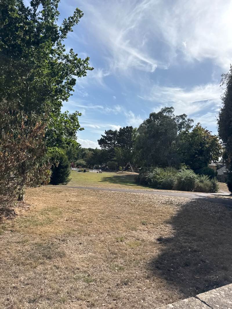 walking near me in Preston Park in autumn