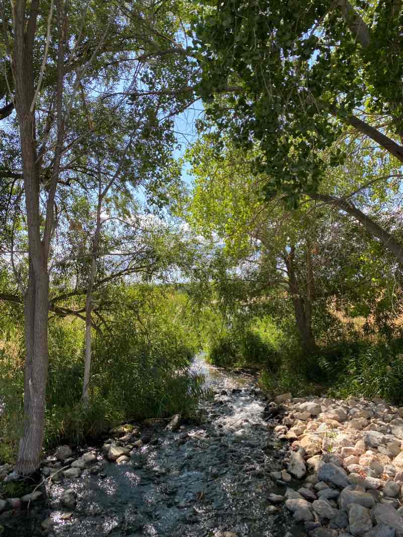 walking near me in Sunset Beach Park in winter