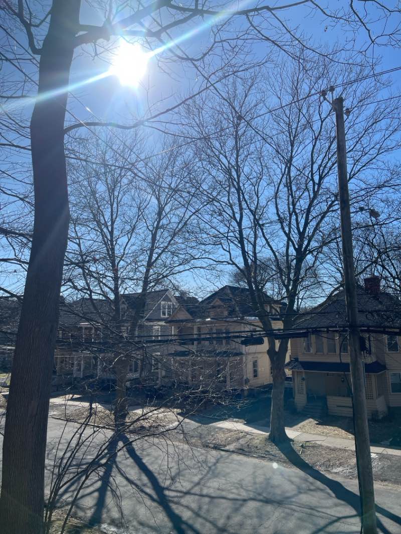 walking near me in Forman Park in spring