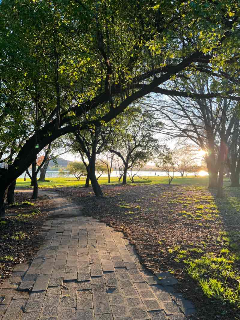 walking near me in Bowen Park in summer