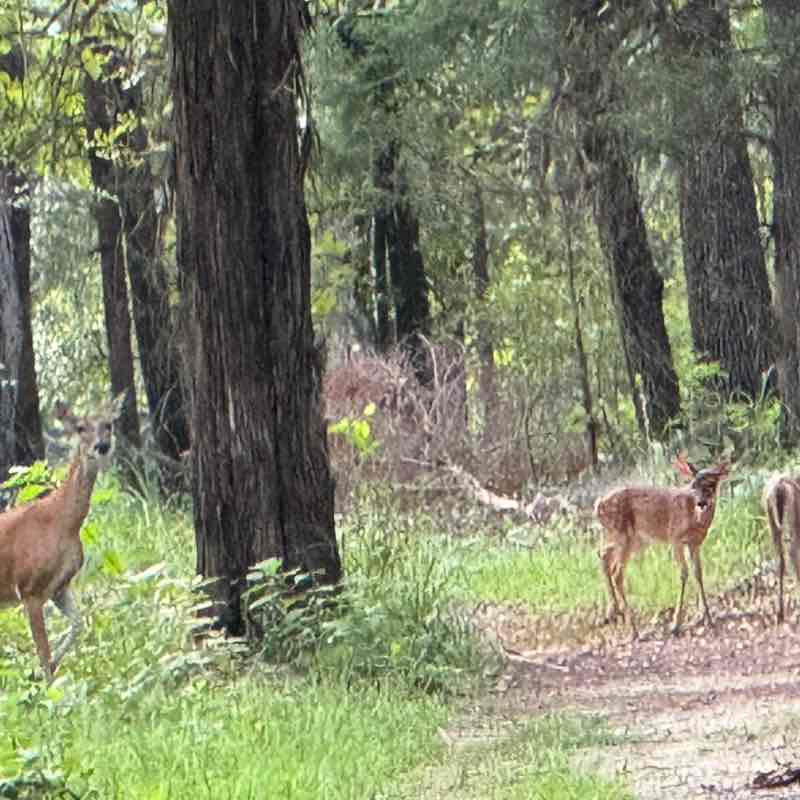 nursetammy_1999 post 2