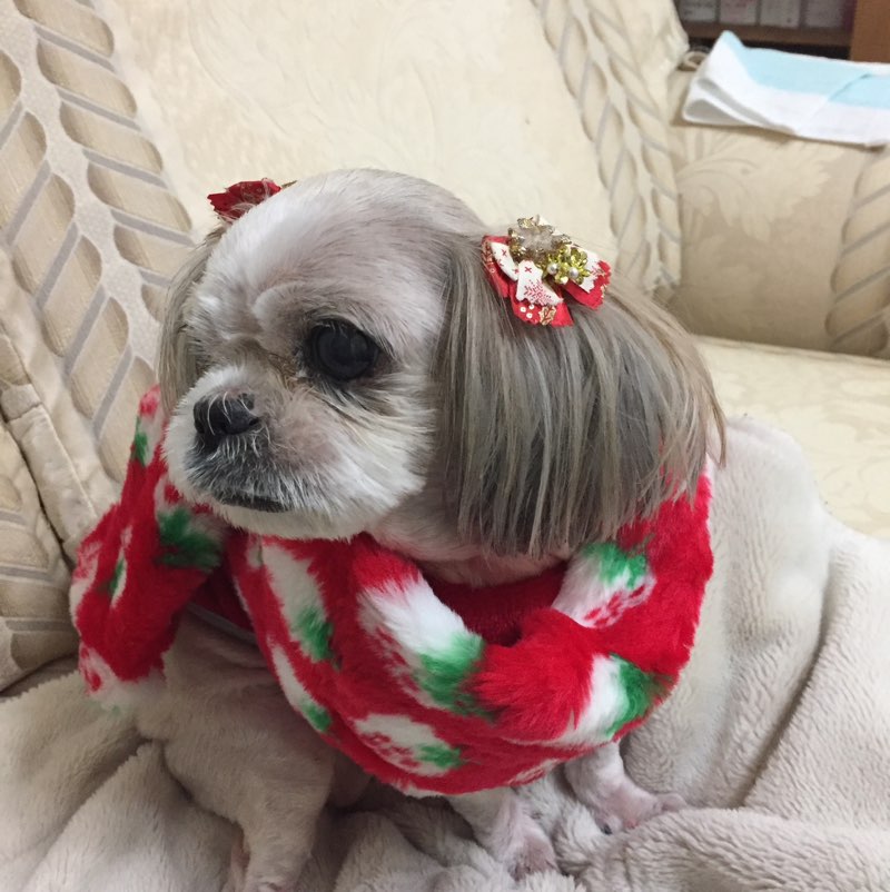 設管中川健 icon