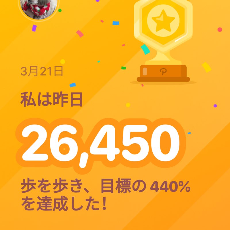 設管中川健 post 1