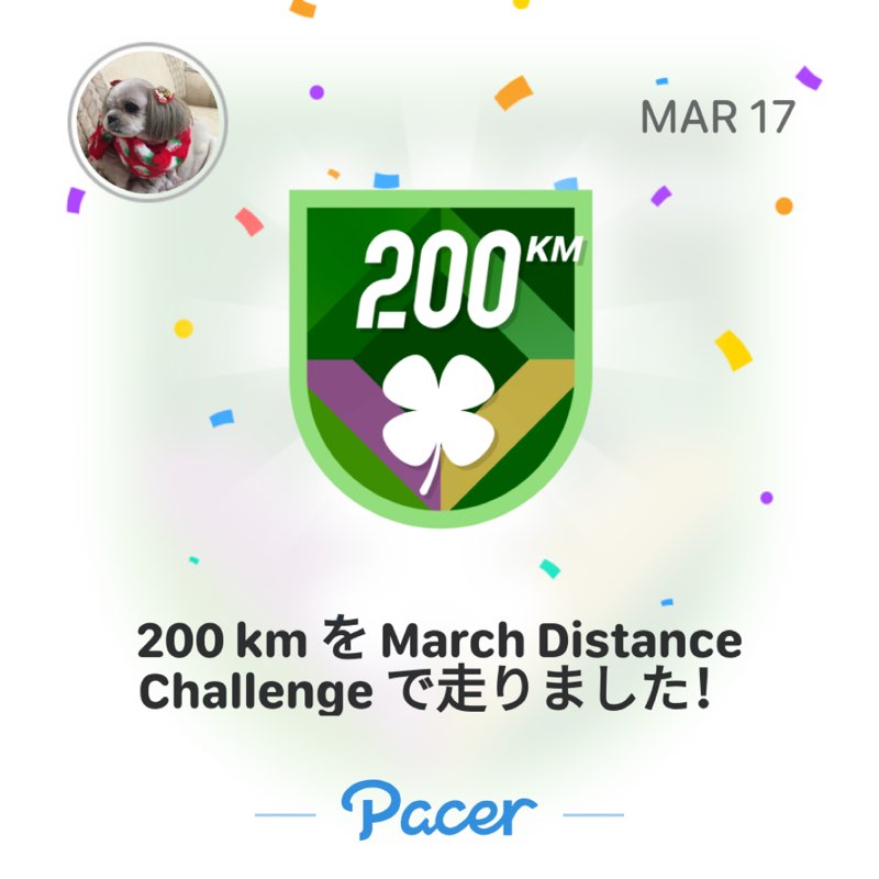 設管中川健 post 1