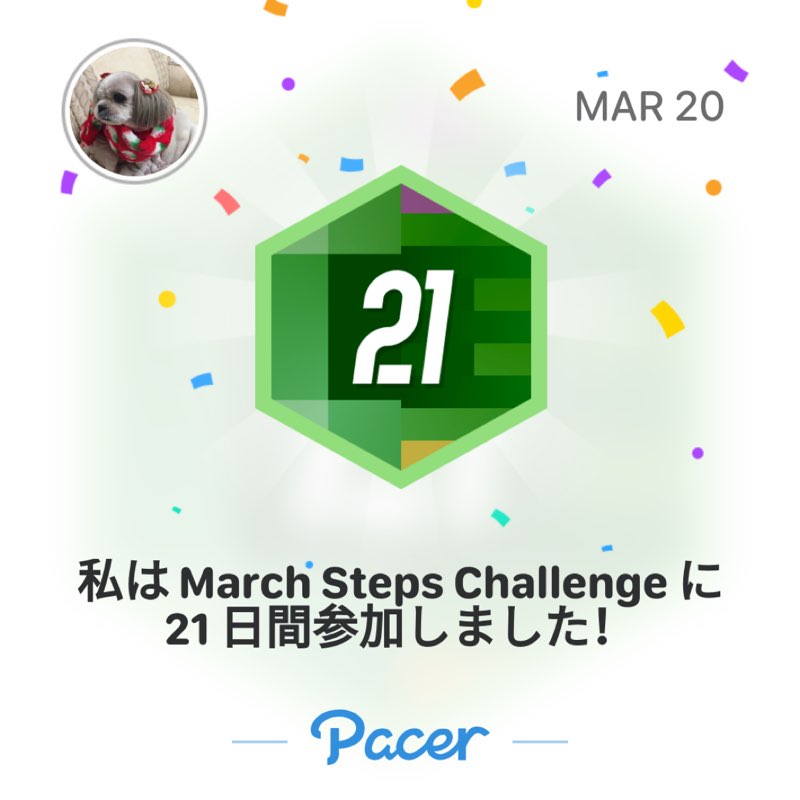 設管中川健 post 1