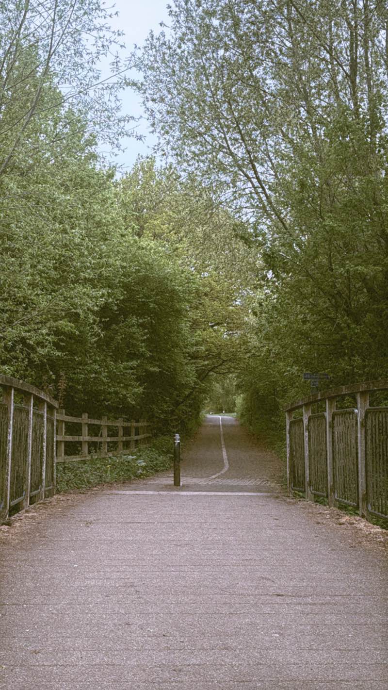 walking near me in the leys play park in spring