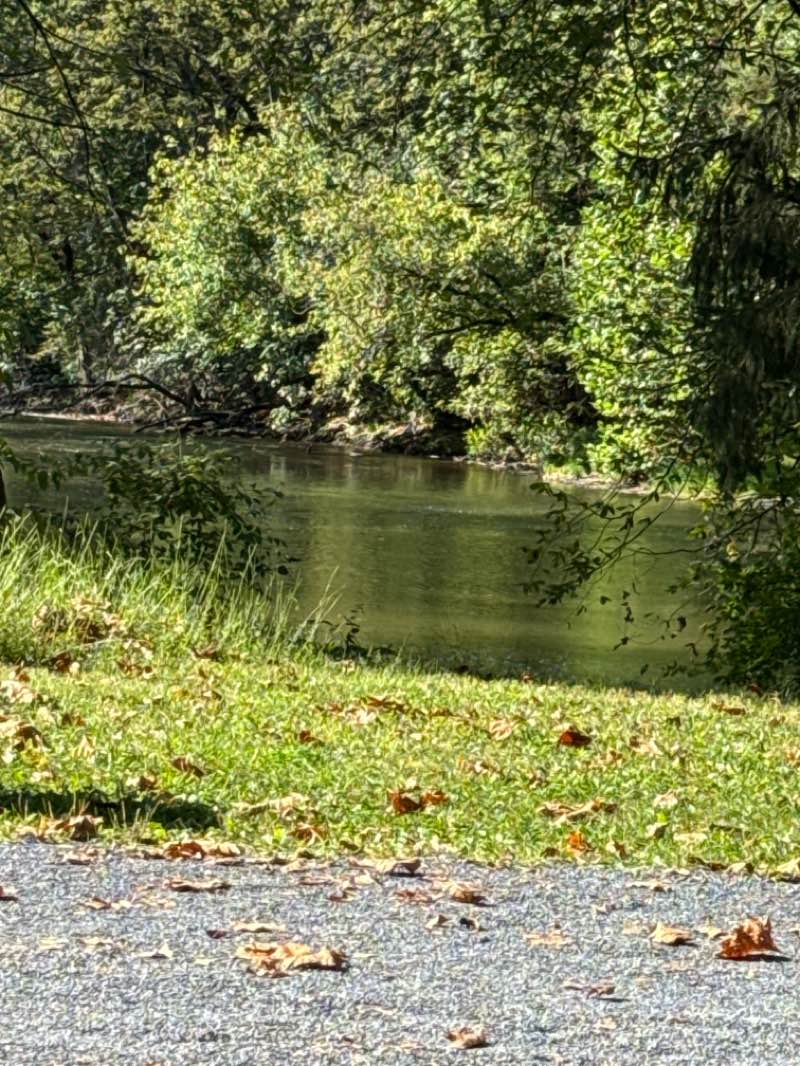 walking near me in Gring's Mill Recreation Area in autumn