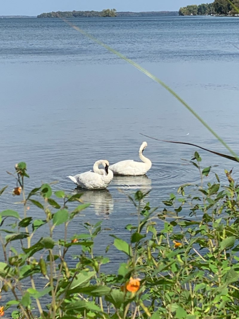 walking near me in Tudhope Park in winter