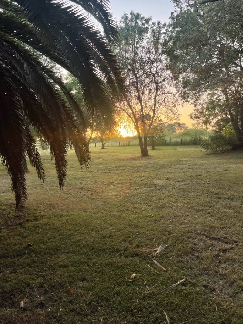 walking near me in Tench Reserve in summer