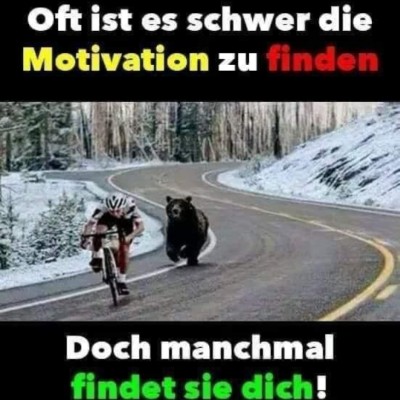 Tanja's Spazierbudys post image