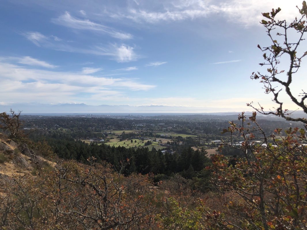 walking near me in Saanichton Green in winter