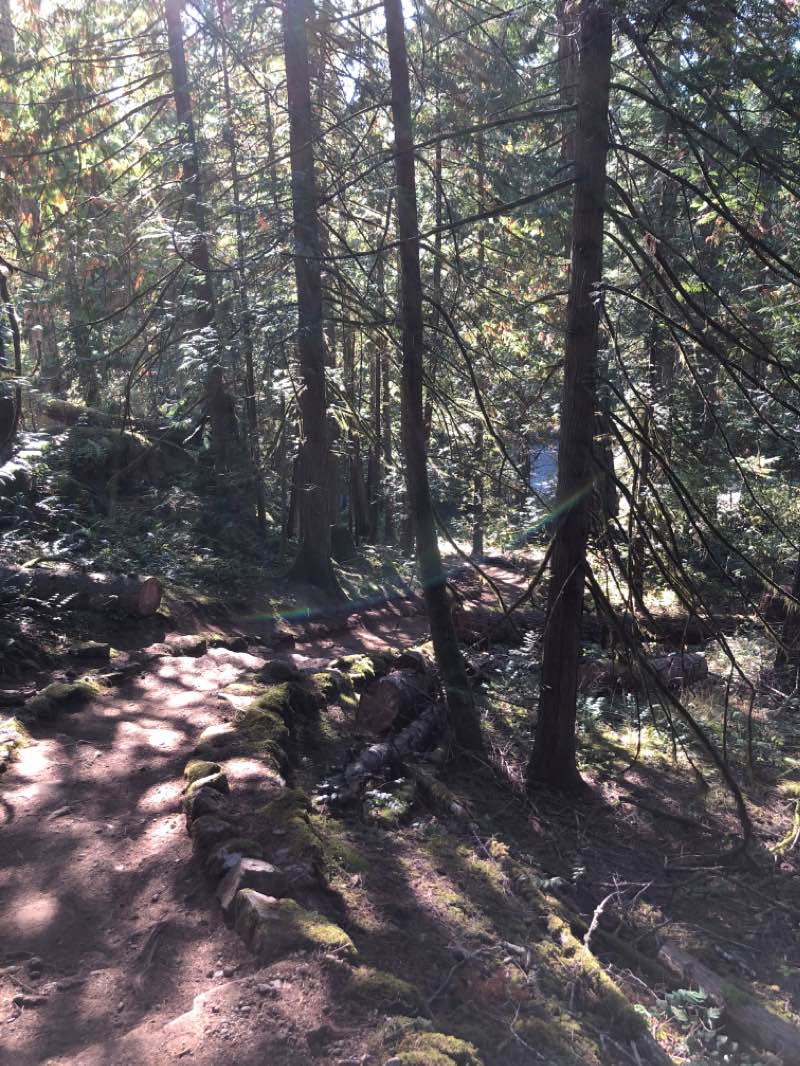 walking near me in ȽÁU,WELṈEW̱/John Dean Provincial Park in winter