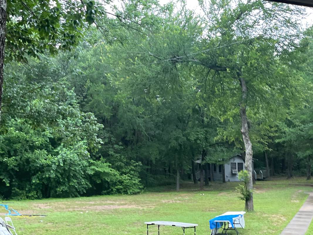 walking near me in Bonham State Park in spring