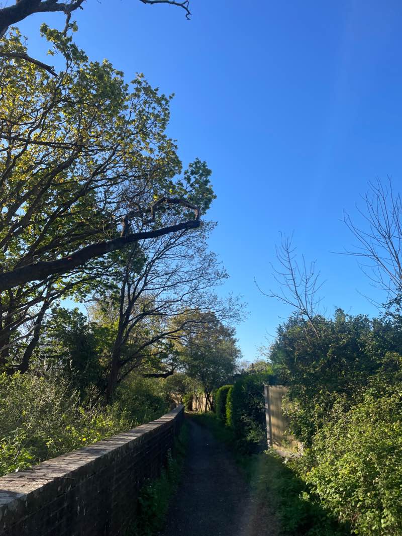 walking near me in Testwood Recreation Ground in winter
