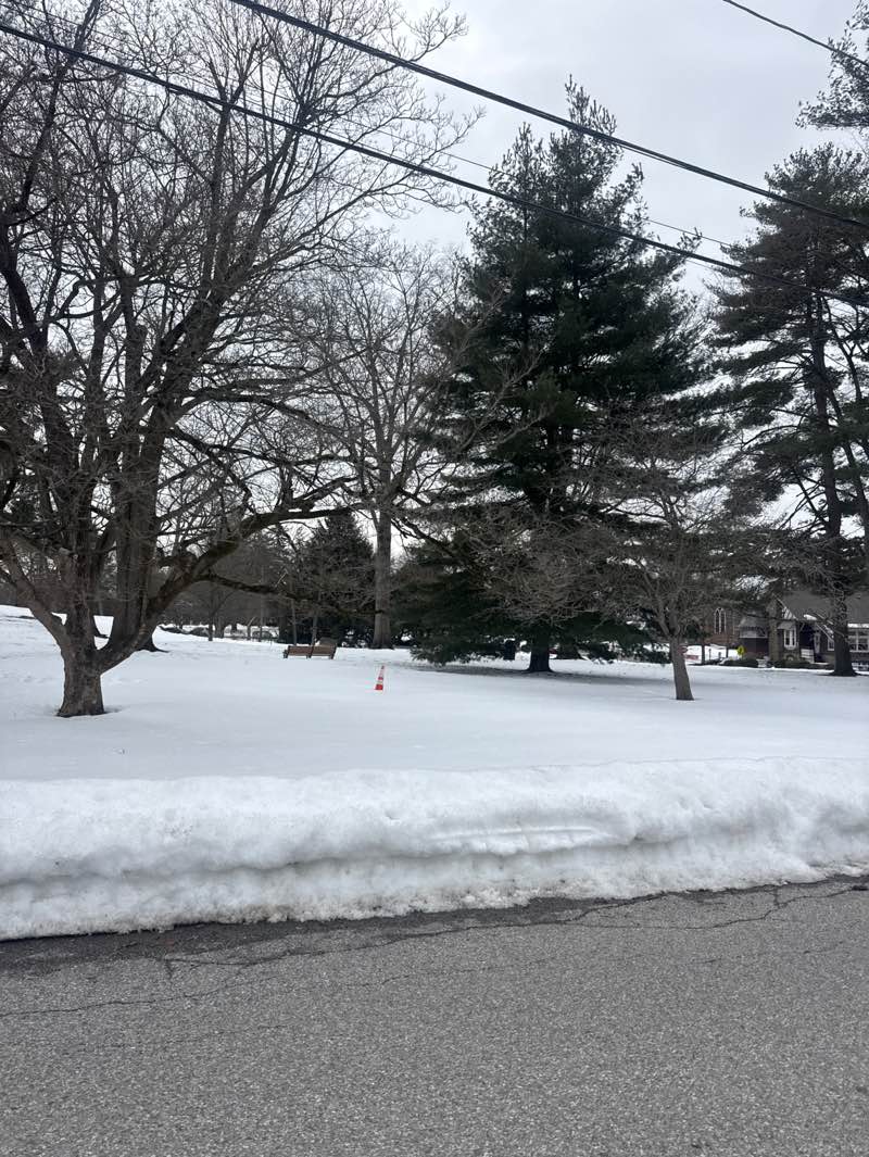 walking near me in Mesier Park in winter