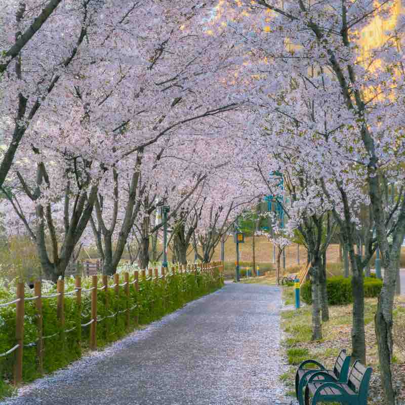minseong post 2