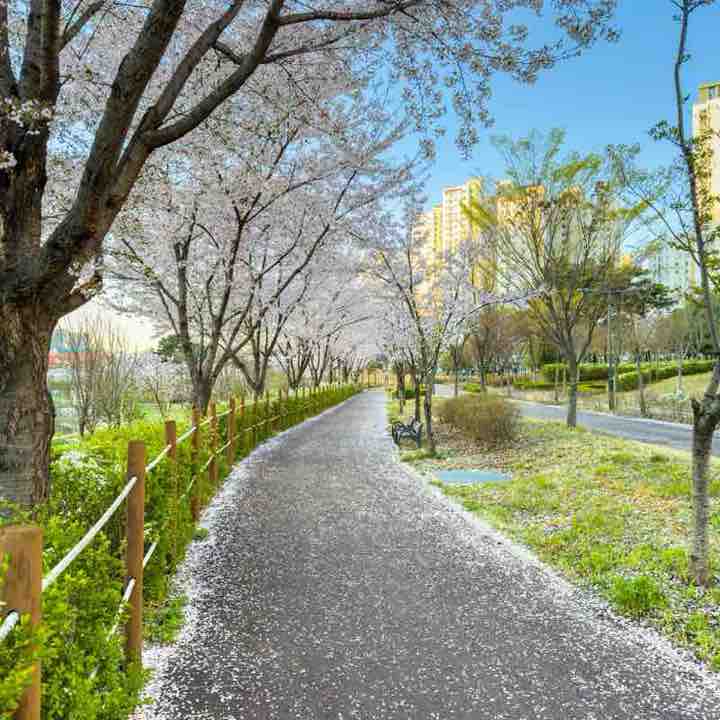 minseong post 3