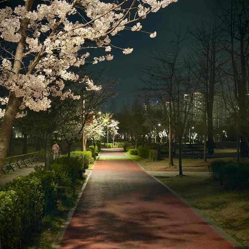 minseong post 3