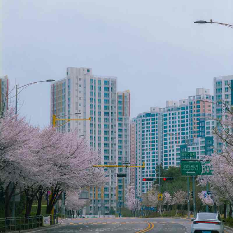 minseong post 2