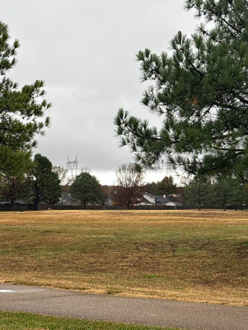 walking near me in Bert Ferguson Park in autumn