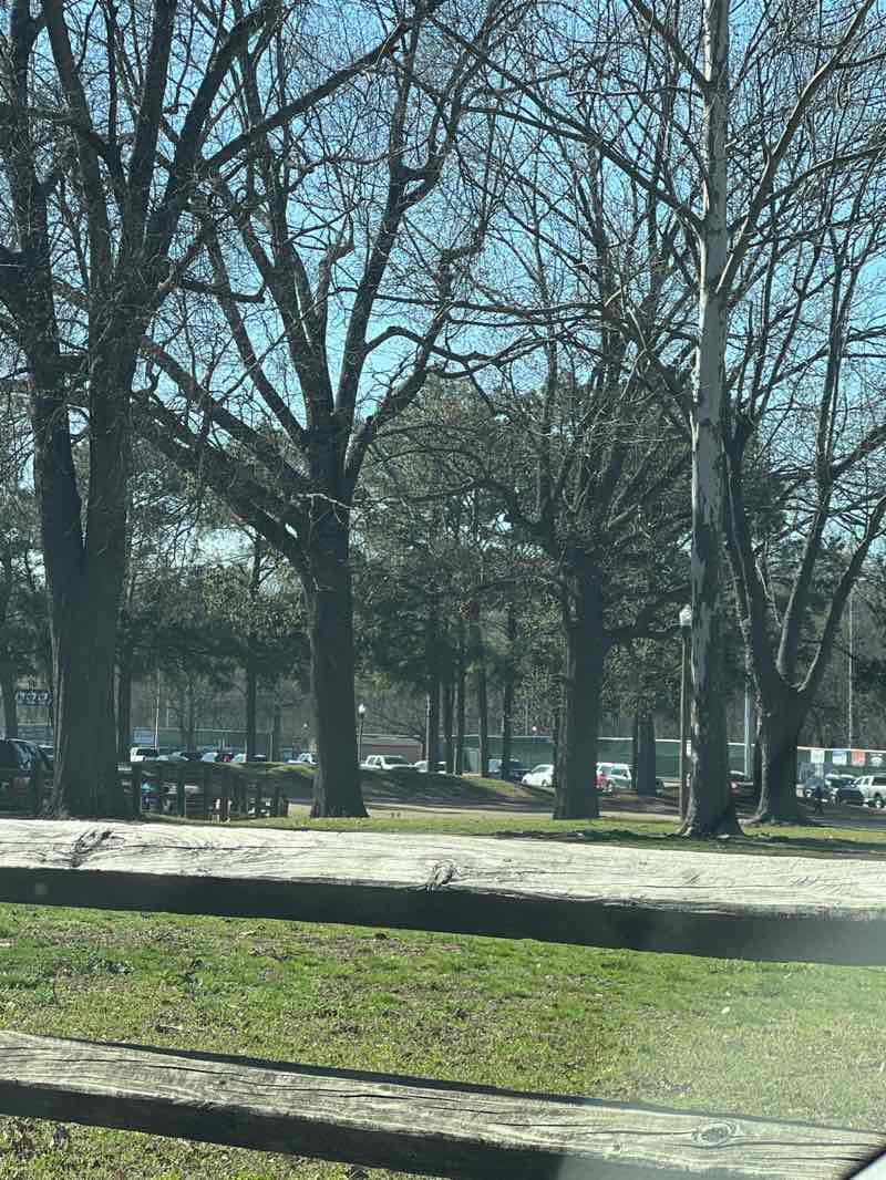 walking near me in Freeman Park in spring