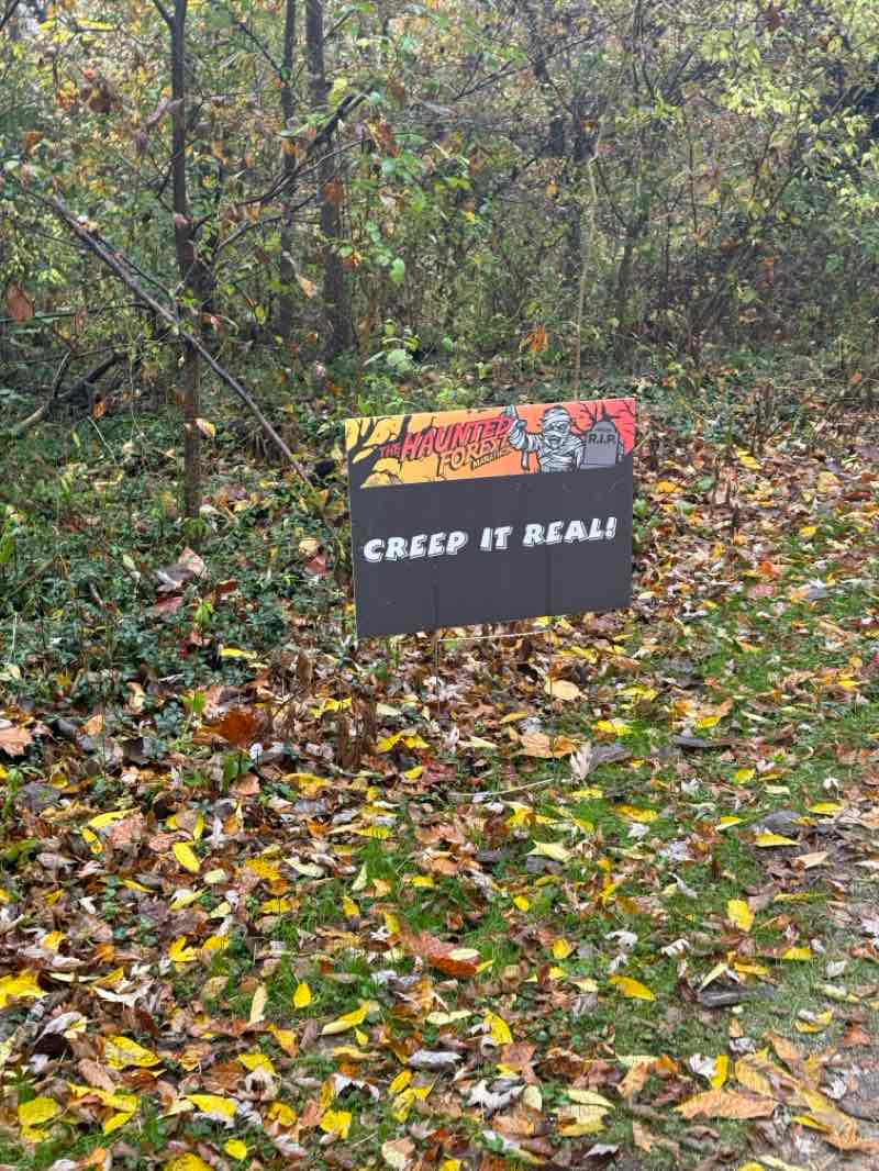 walking near me in St Helena Park in winter