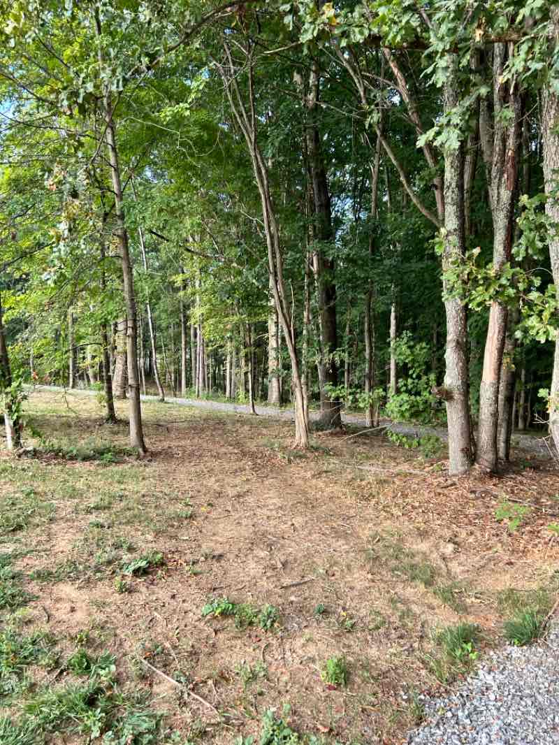 walking near me in Fulton-Hill Park in autumn