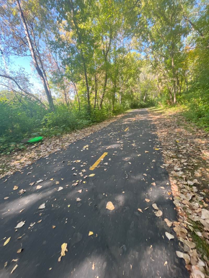 walking near me in Northwood Park in winter