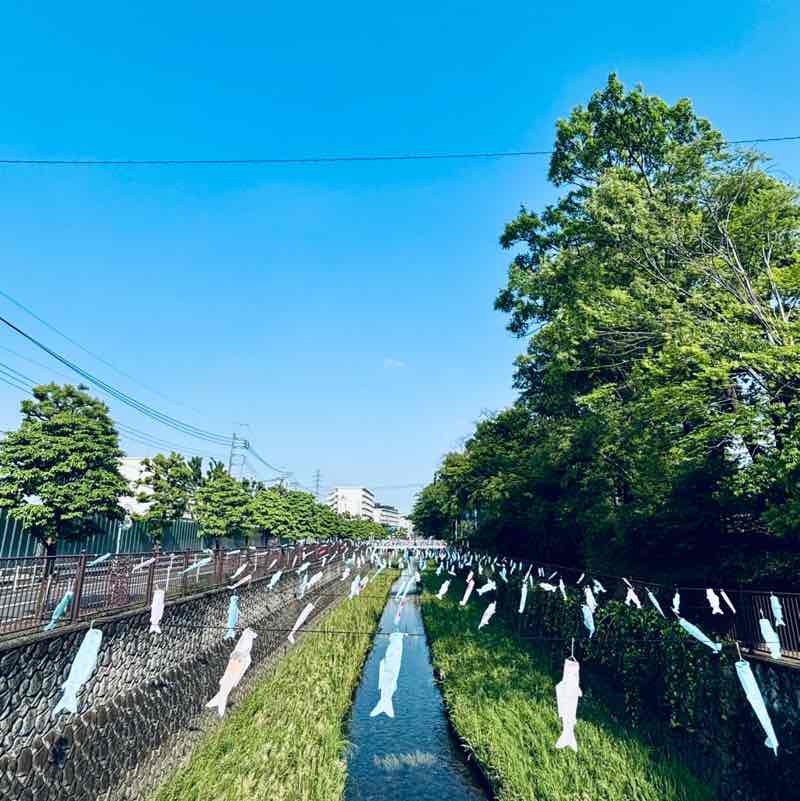 とっとこ鱧太郎 post 3