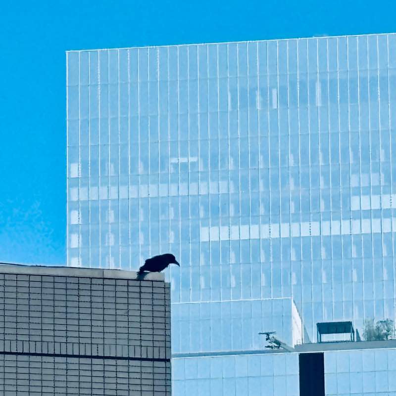 とっとこ鱧太郎 post 2