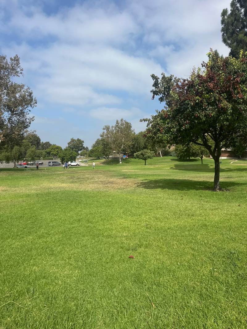 walking near me in George E Elder Park in autumn
