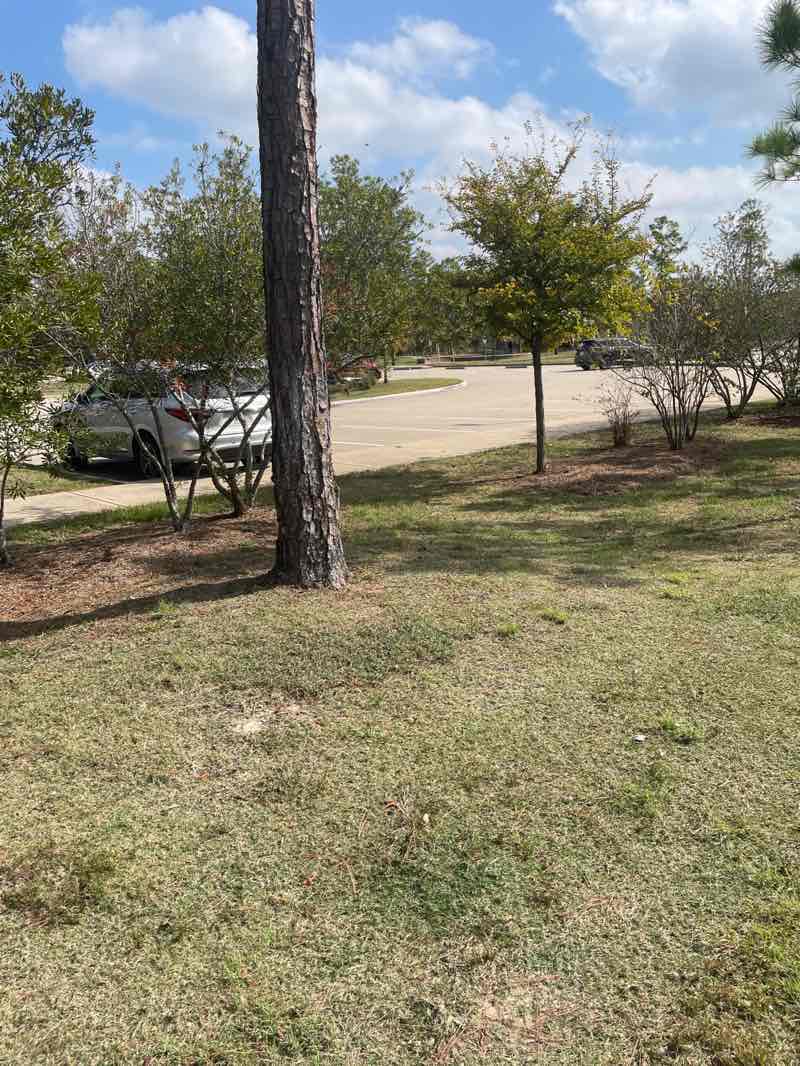 walking near me in Atascocita Park in autumn