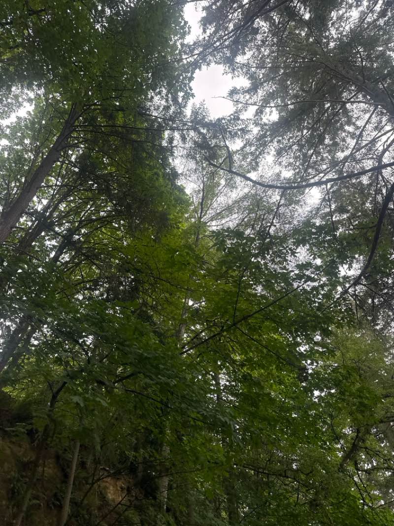 walking near me in Seward Park in summer