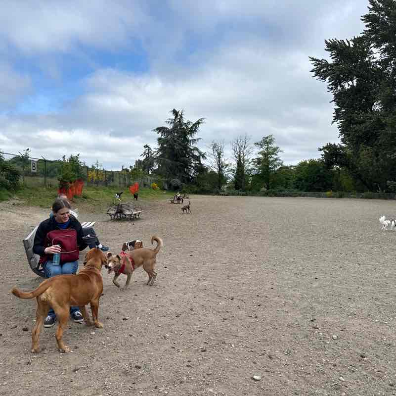 sandy post 1