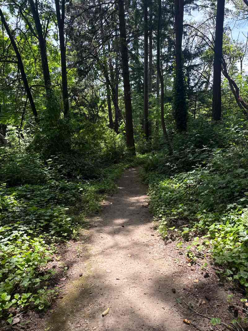 walking near me in Mathison Park in summer