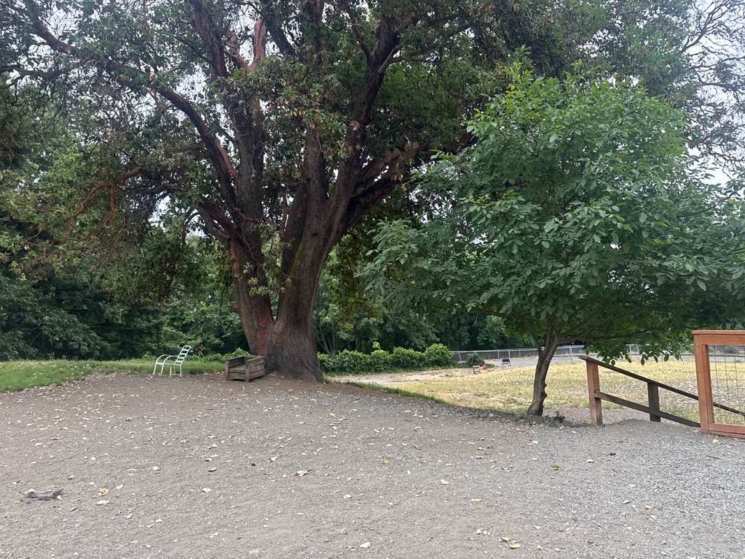 walking near me in Lakeview Park in summer