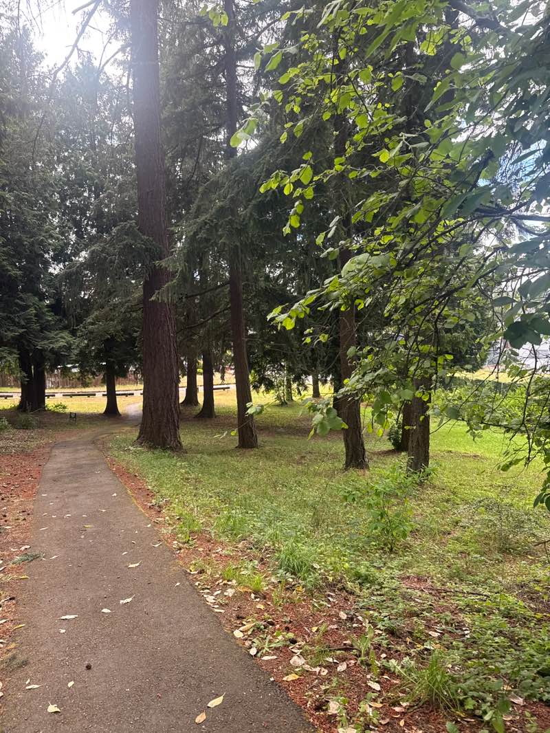 walking near me in Salmon Creek Park in summer