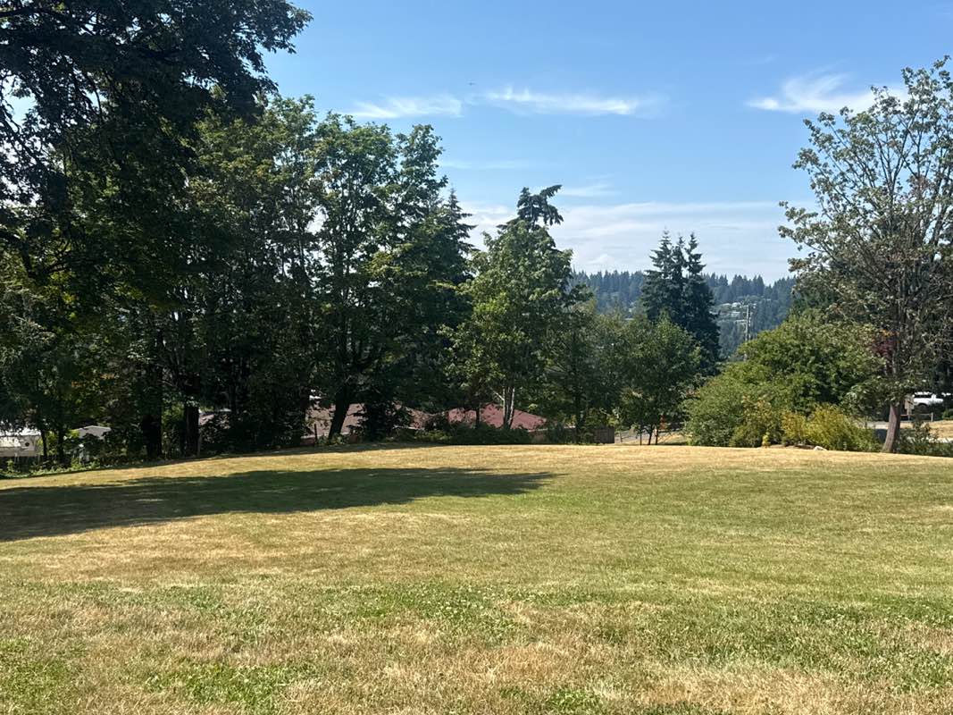walking near me in E.J Nist Park in summer
