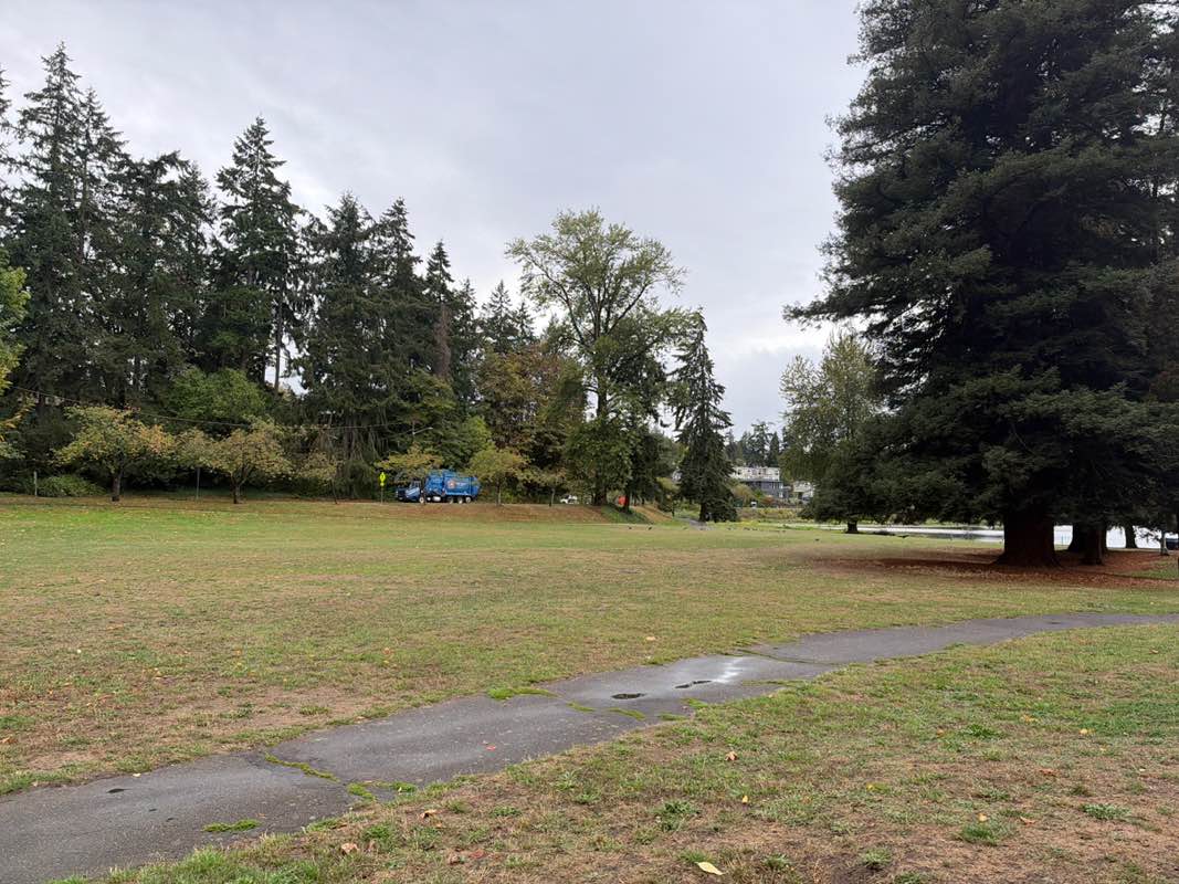 walking near me in Seward Park in autumn