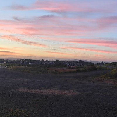 Jowee - Waikato Provincial post 1