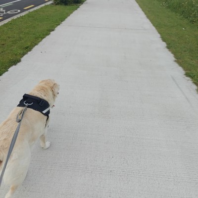 Jowee - Waikato Provincial post 1