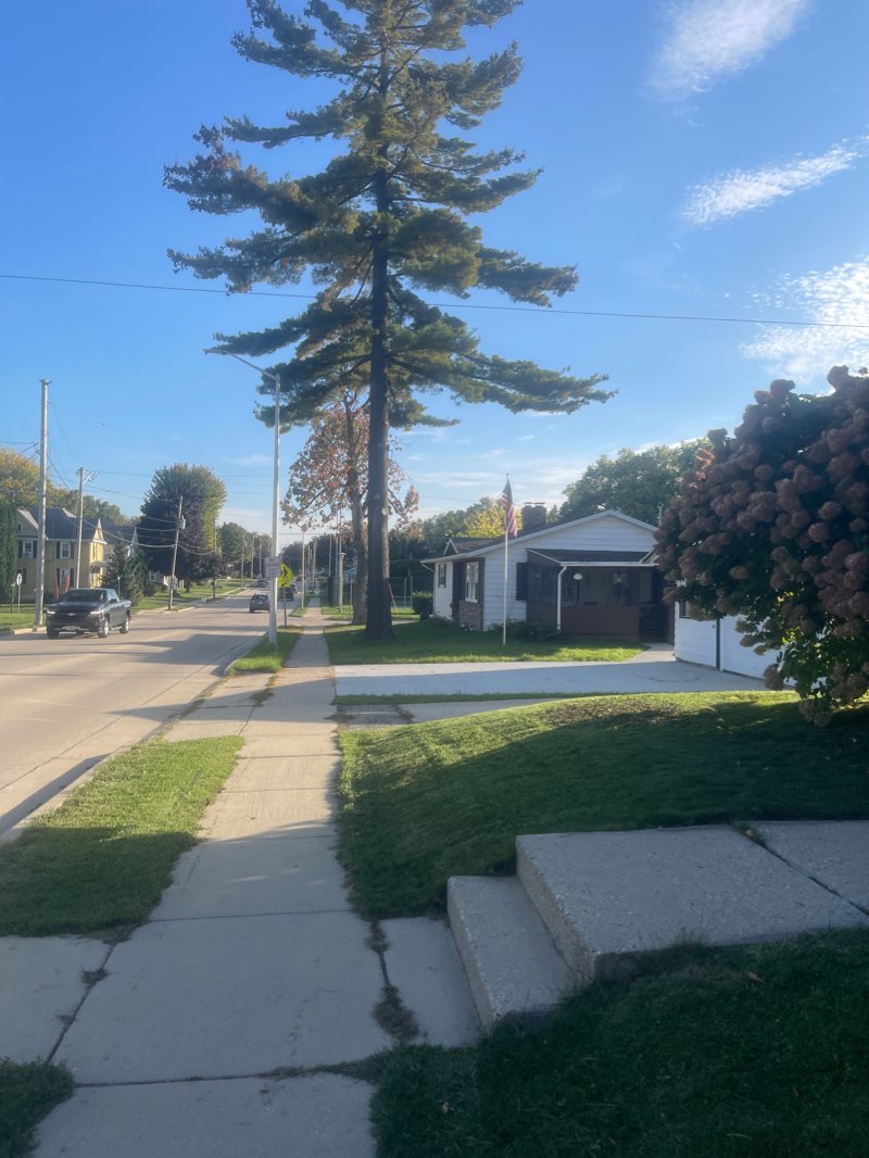 walking near me in Lincoln Park in winter