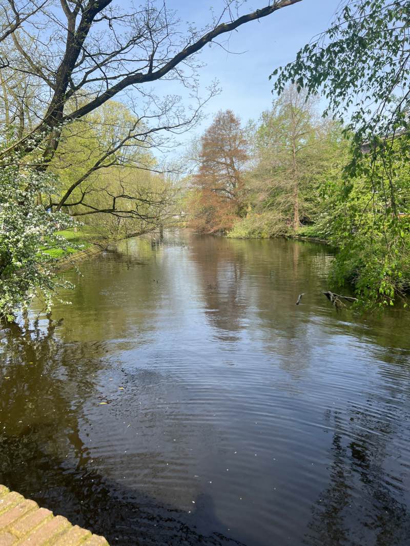 walking near me in Wertheimpark in winter