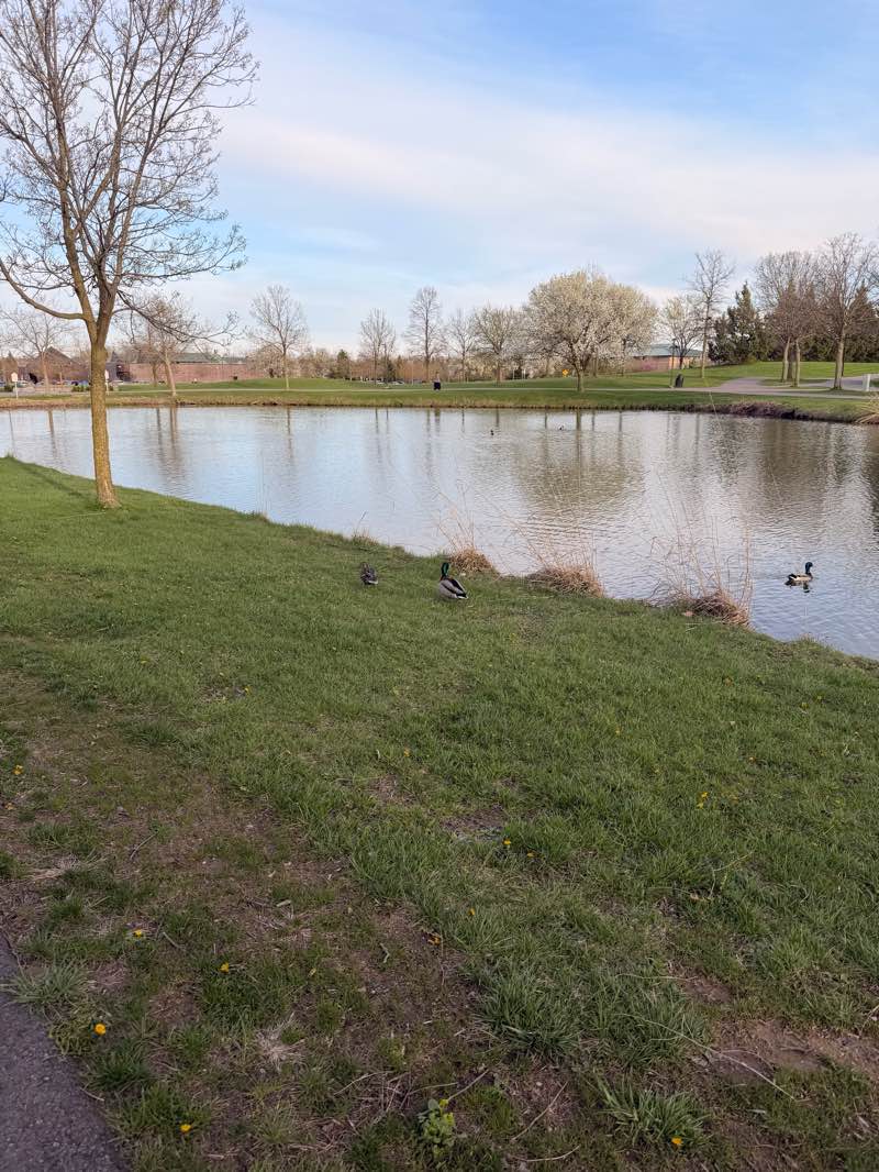 walking near me in Heritage Park in spring