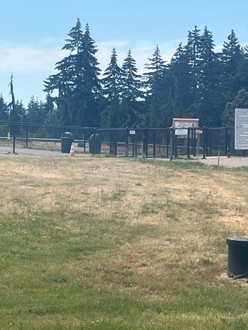 walking near me in Closed Loop Park in summer