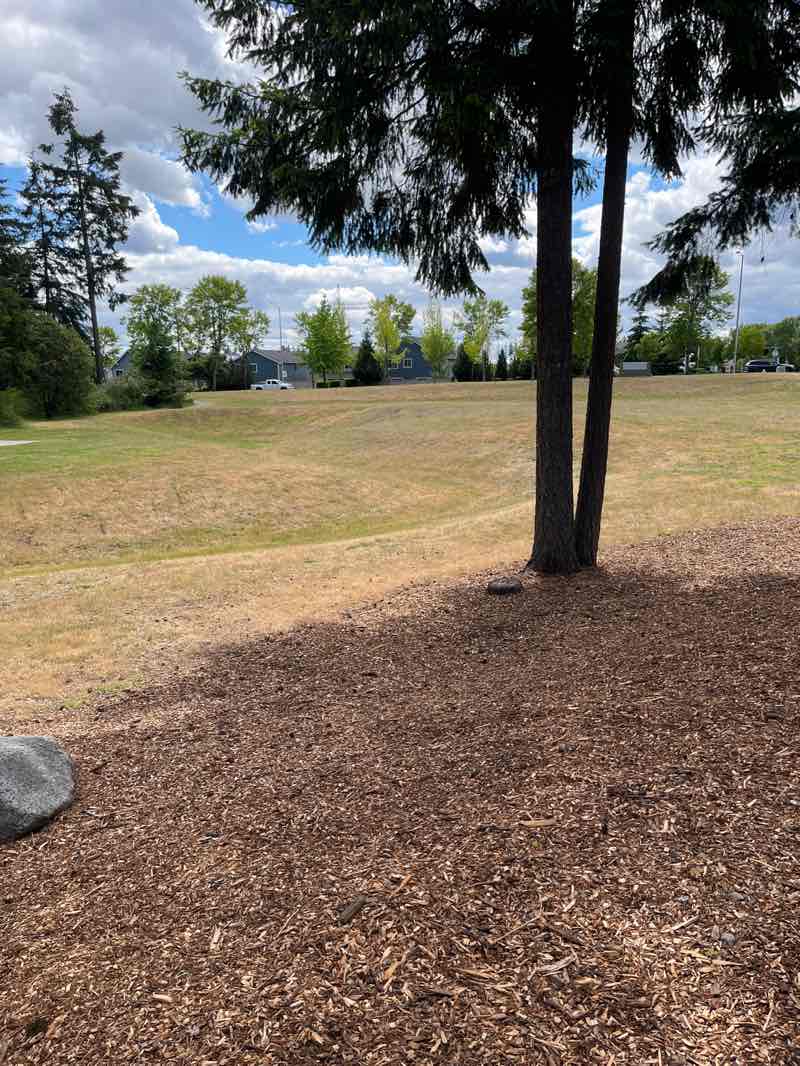 walking near me in Meridian Neighborhood Park in summer