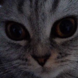 Kristjan Kask profile