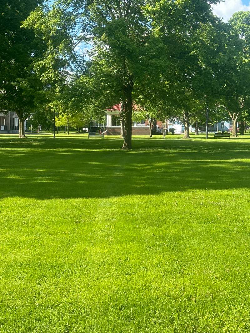 walking near me in Homer Village Green in spring